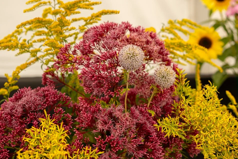 southportflowershow-0229.jpg
