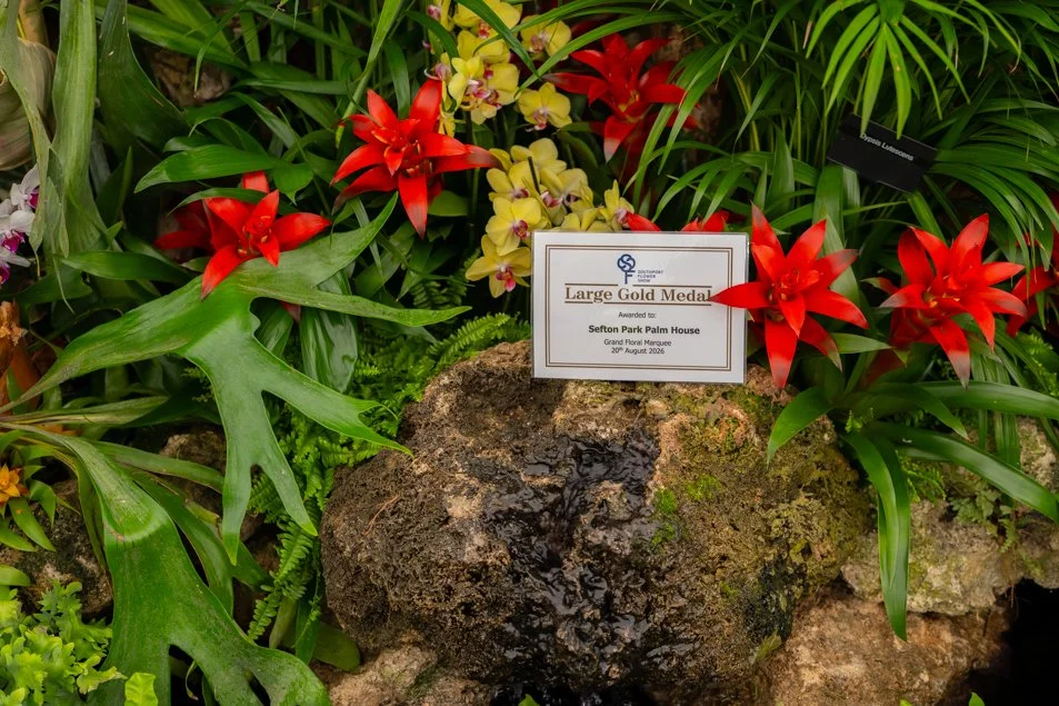 southportflowershow-0285.jpg