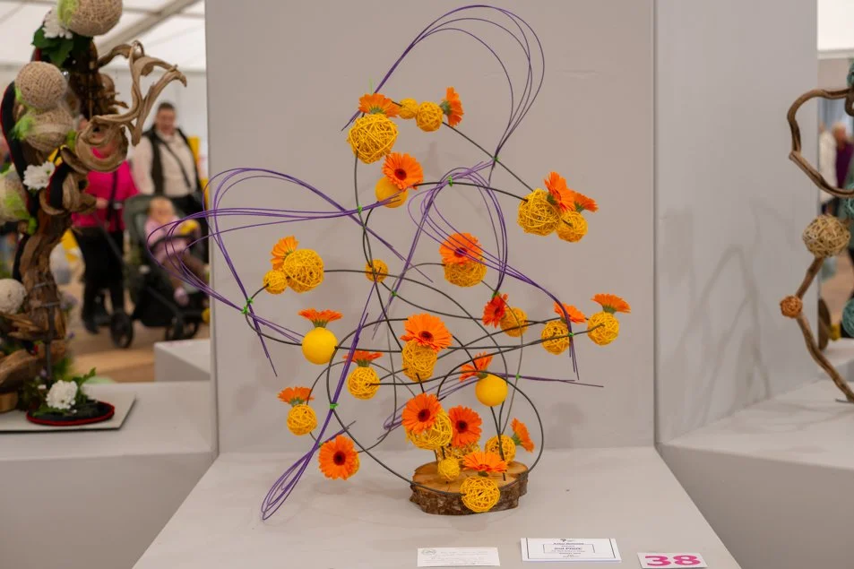 southportflowershow-0306.jpg