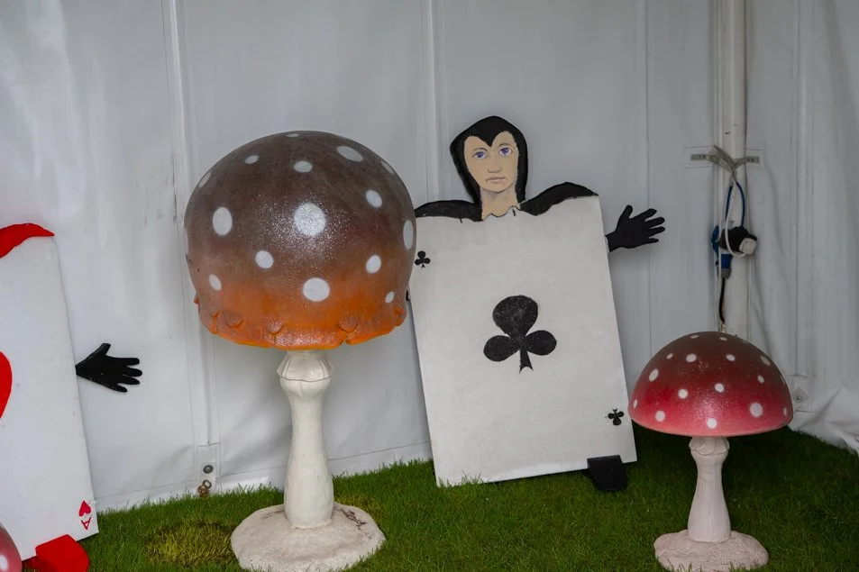 southportflowershow-0384.jpg