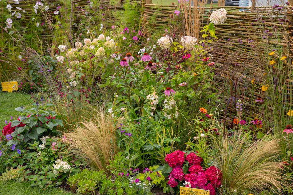 southportflowershow-0396.jpg