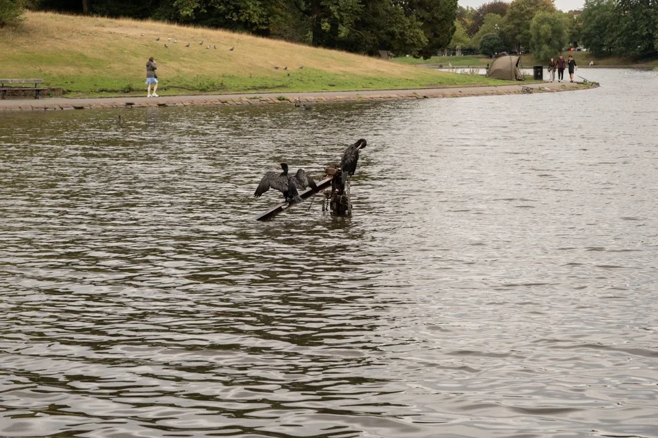 seftonpark-0537.jpg