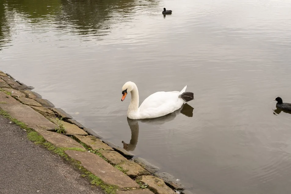 seftonpark-0552.jpg