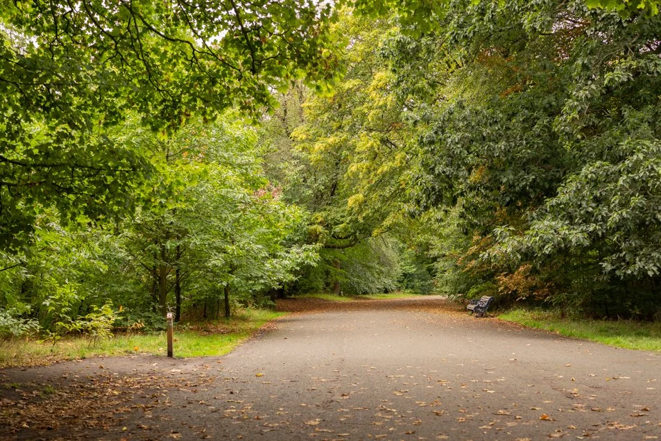 Parks, Sefton Park, Liverpool, August.  