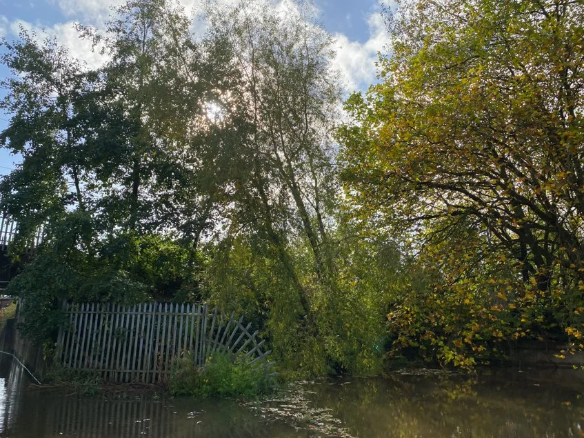 Observations-October 2024. — Edgeland Observer