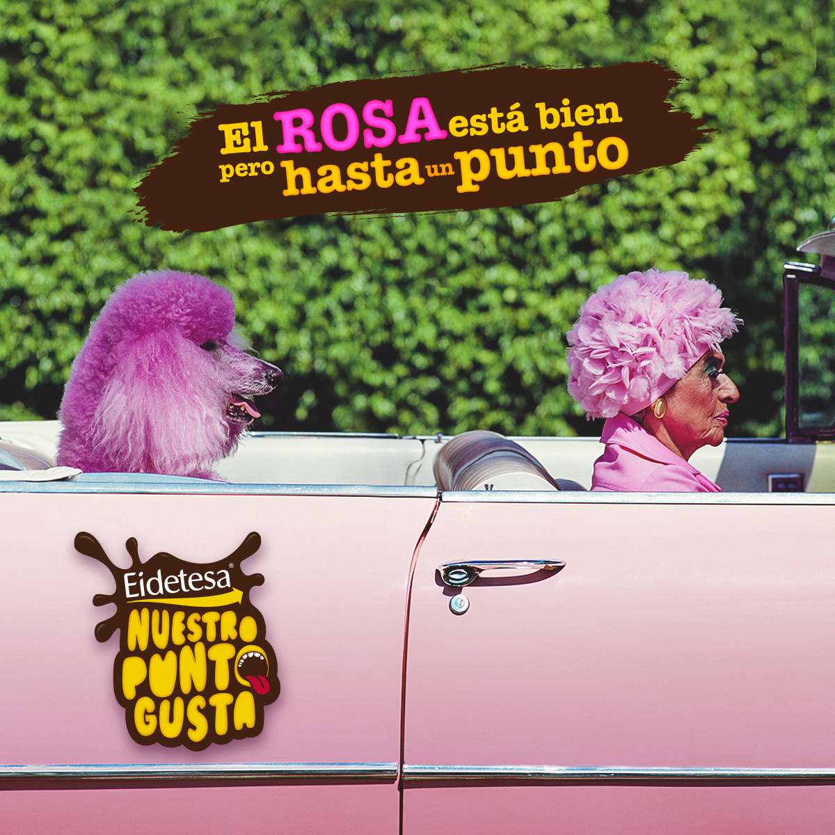 P1_EIDETESA_ROSA (OPCIÓN 2) (1).png