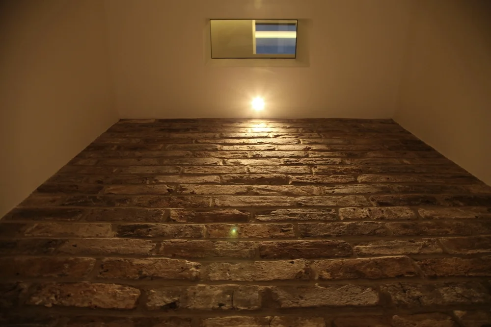 detail lightwell cellar.JPG