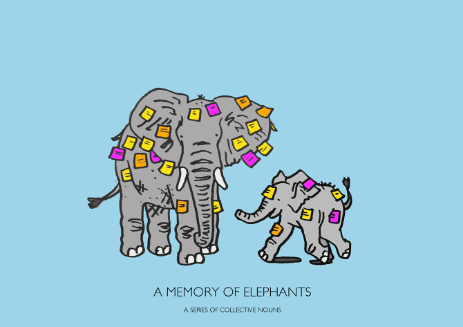 A-MEMORY-OF-ELEPHANTS-JPEG_670.jpg