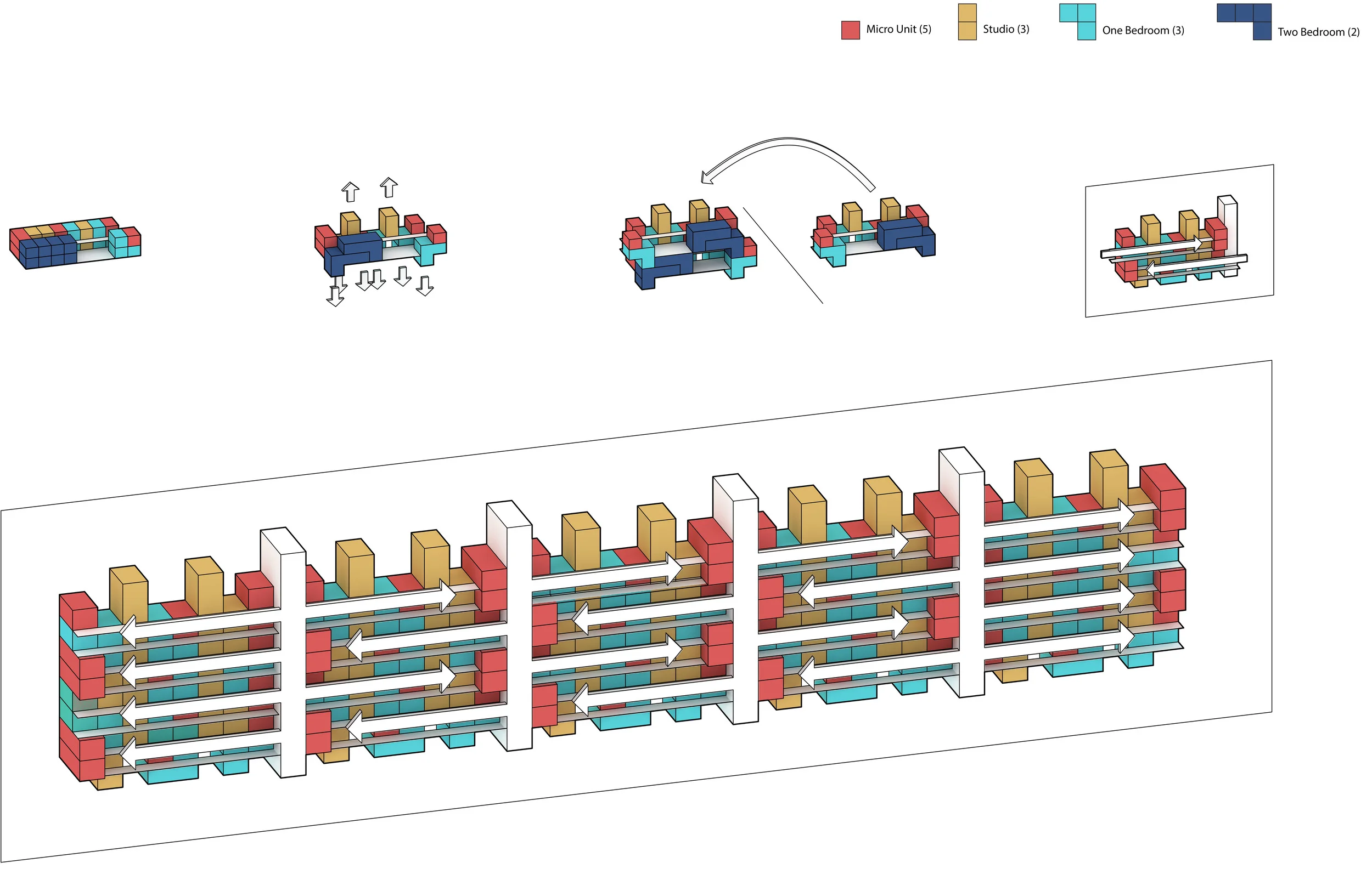 Final Morphology Diagram 2.jpg