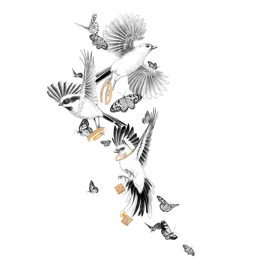 bird 900.jpg