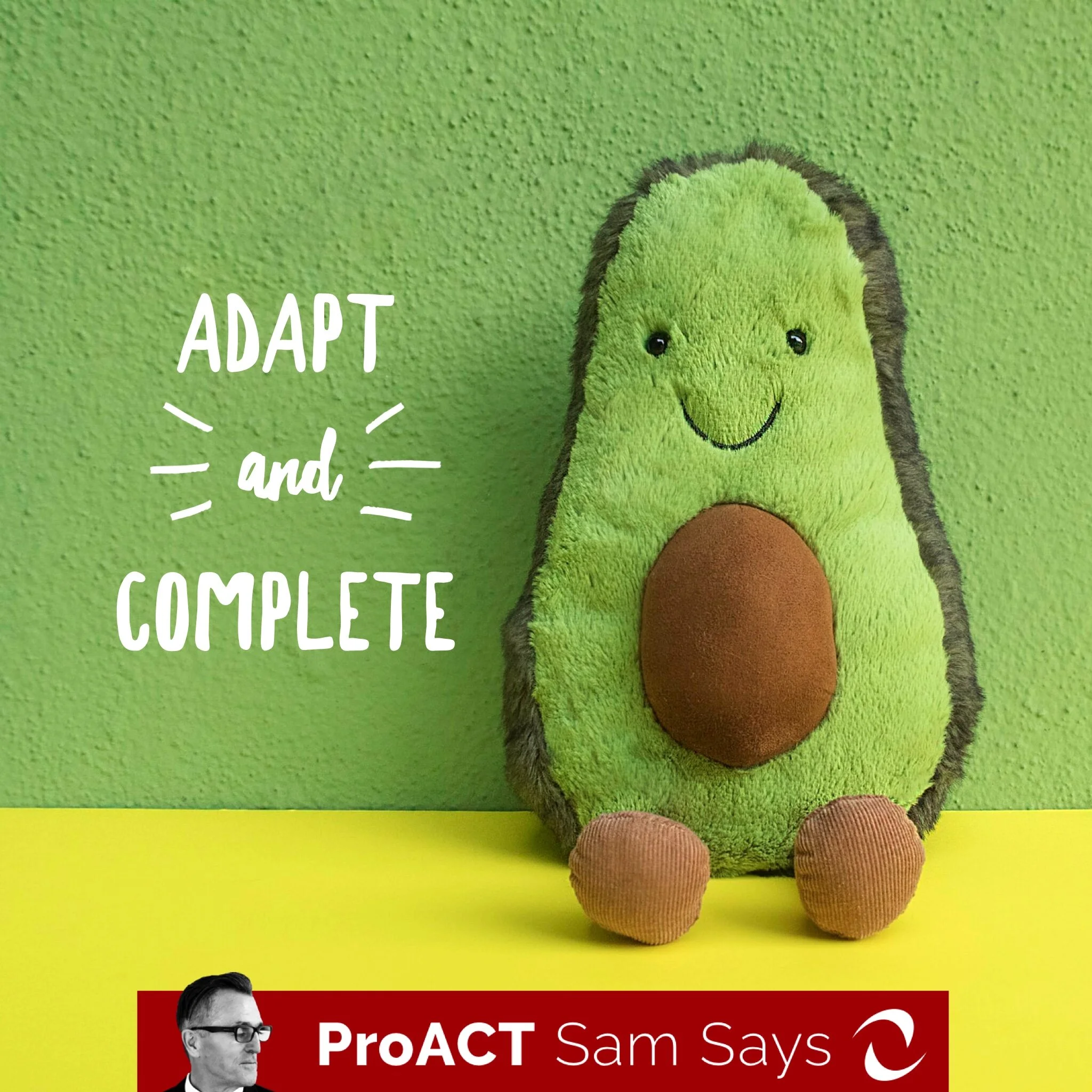 Adapt and Complete &nbsp;