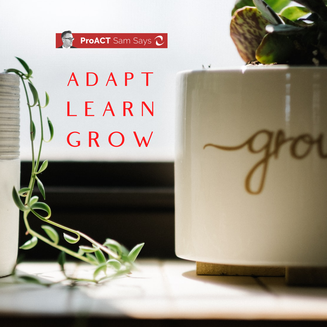 Adapt Learn Grow