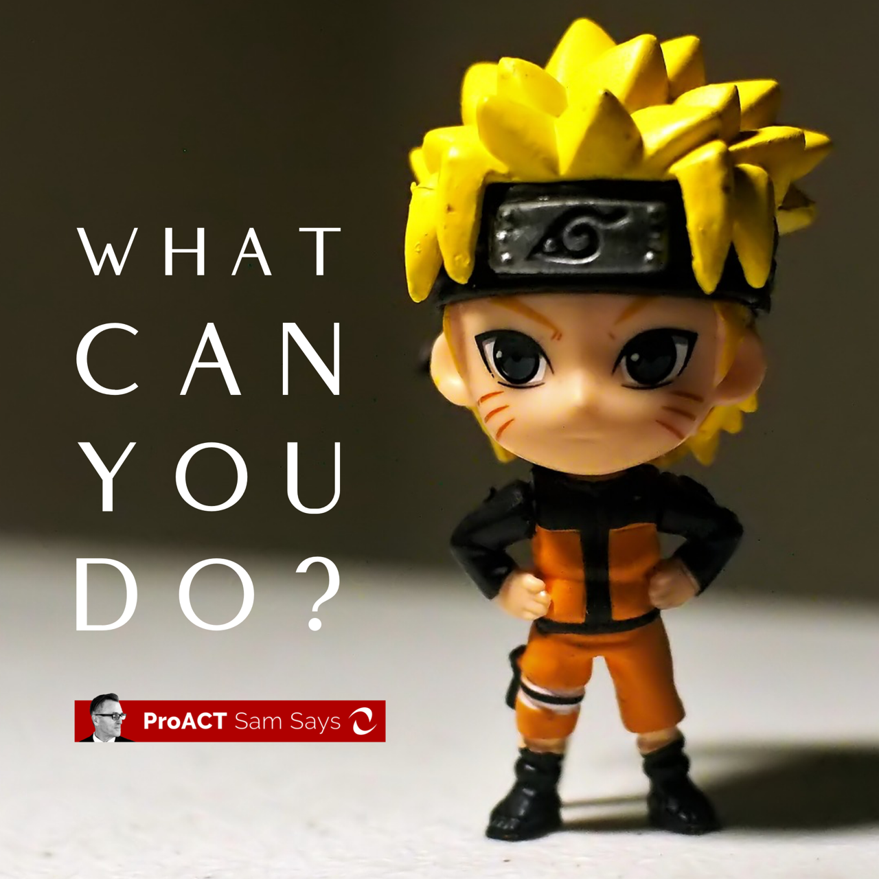 What Can You Do? 