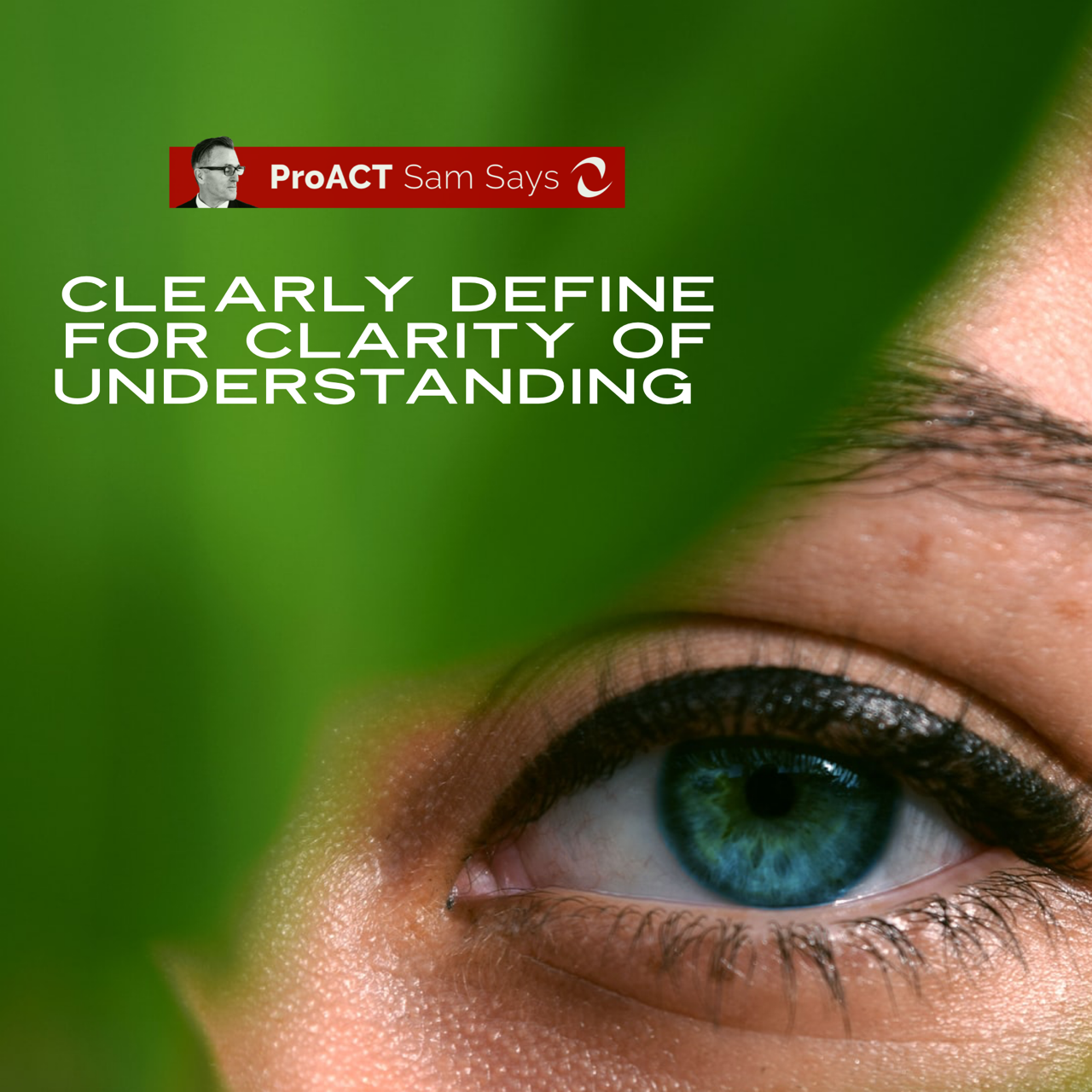 Clearly Define For Clarity of Understanding