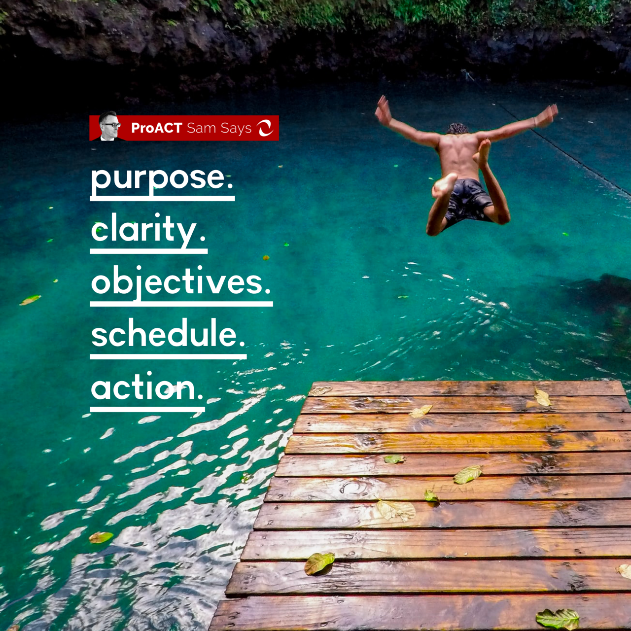 Purpose. Clarity. Objectives. Schedule. Action. 