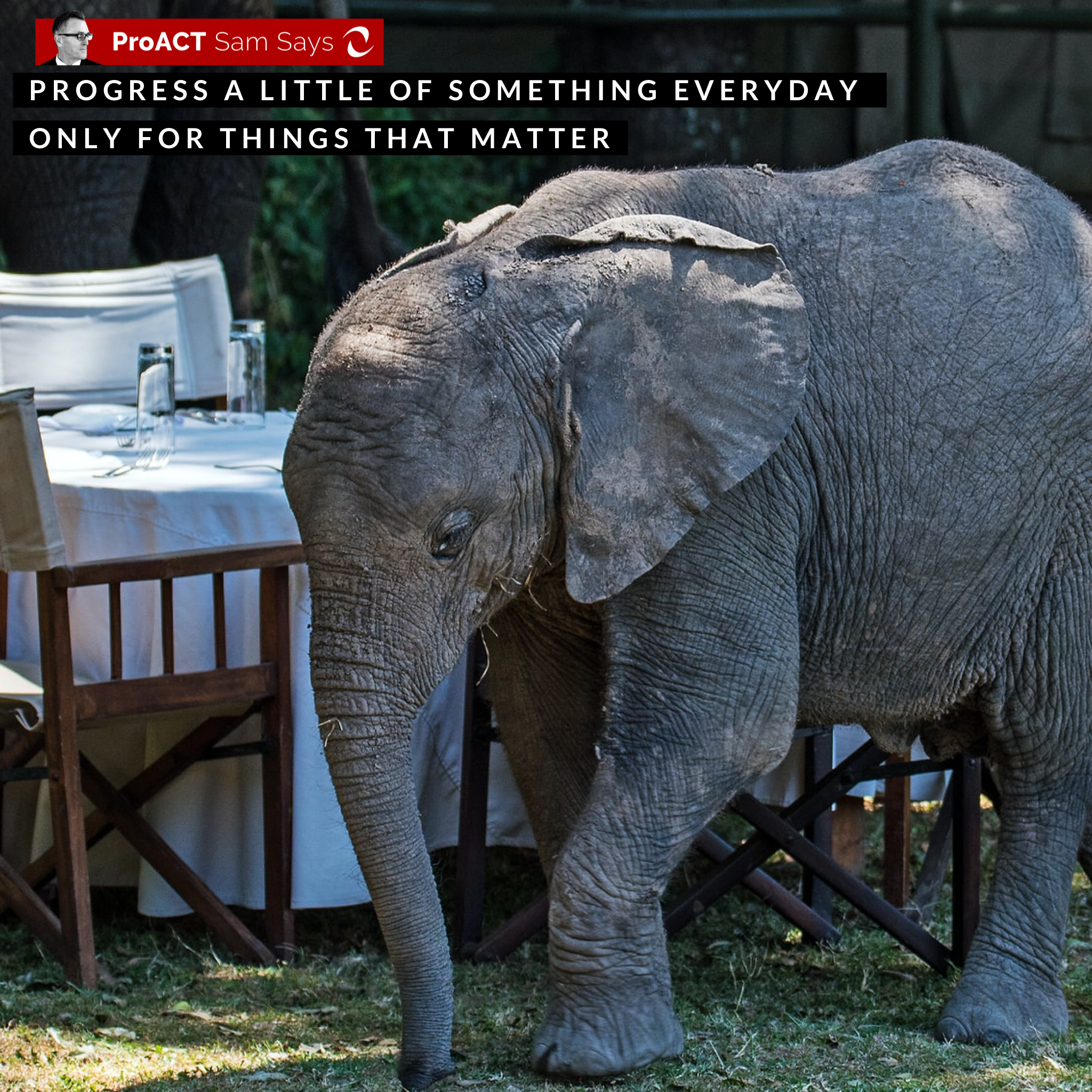 Progress a Little of Something Everyday 