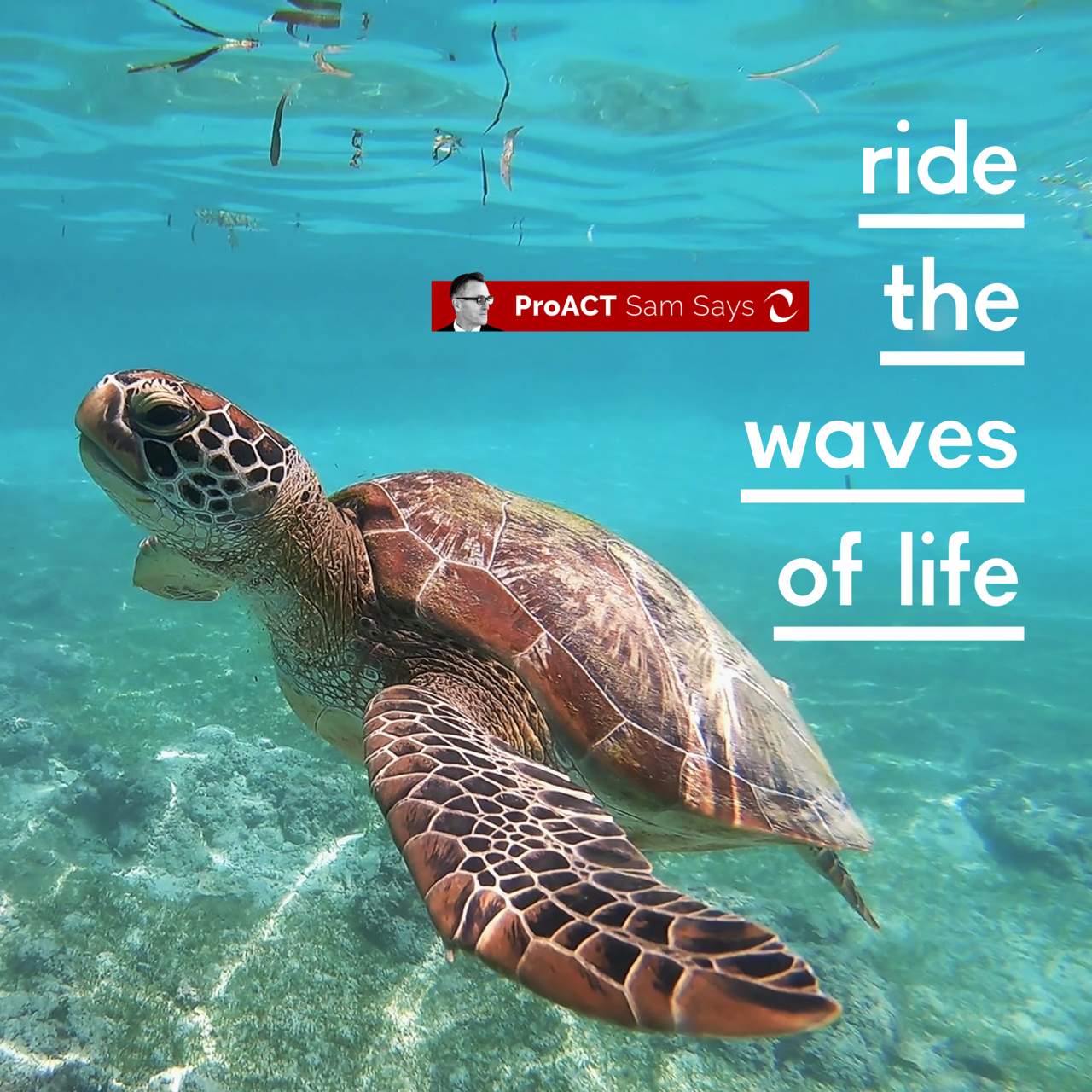 Ride the Waves of Life