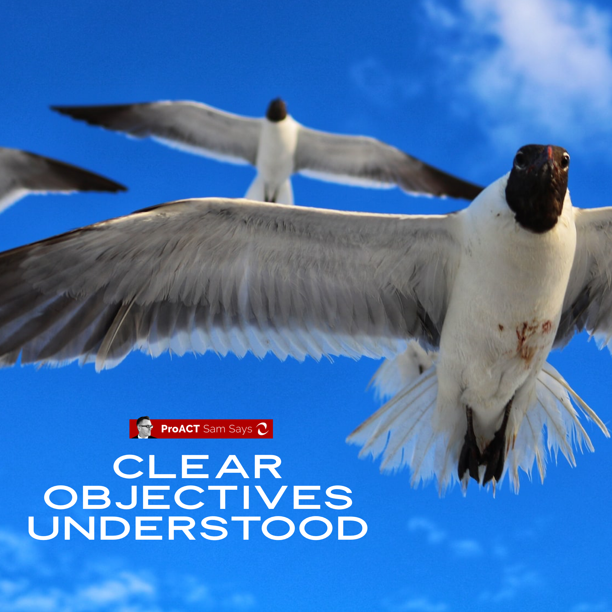 Clear Objectives Understood