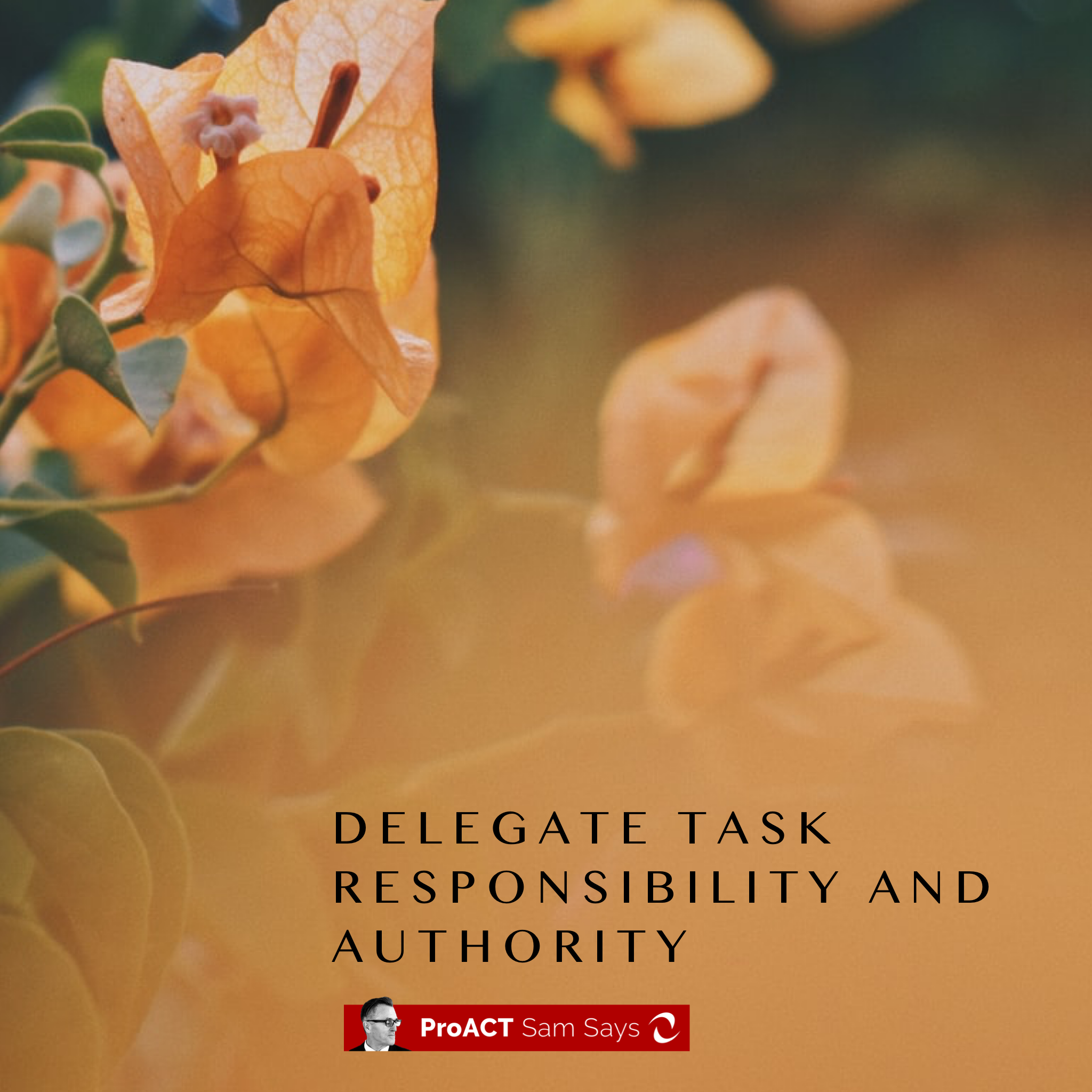 Delegate Task Responsibility and Authority