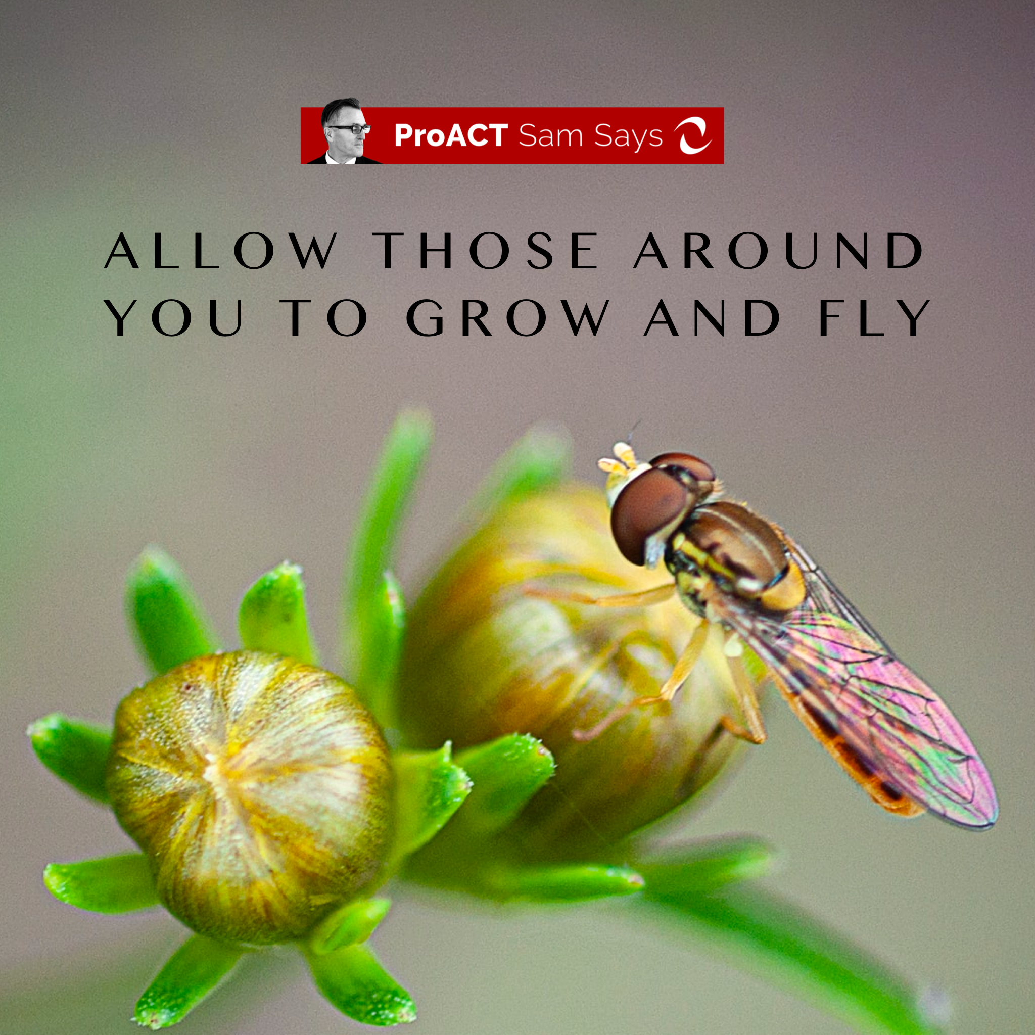 Allow Those Around You to Grow and Fly