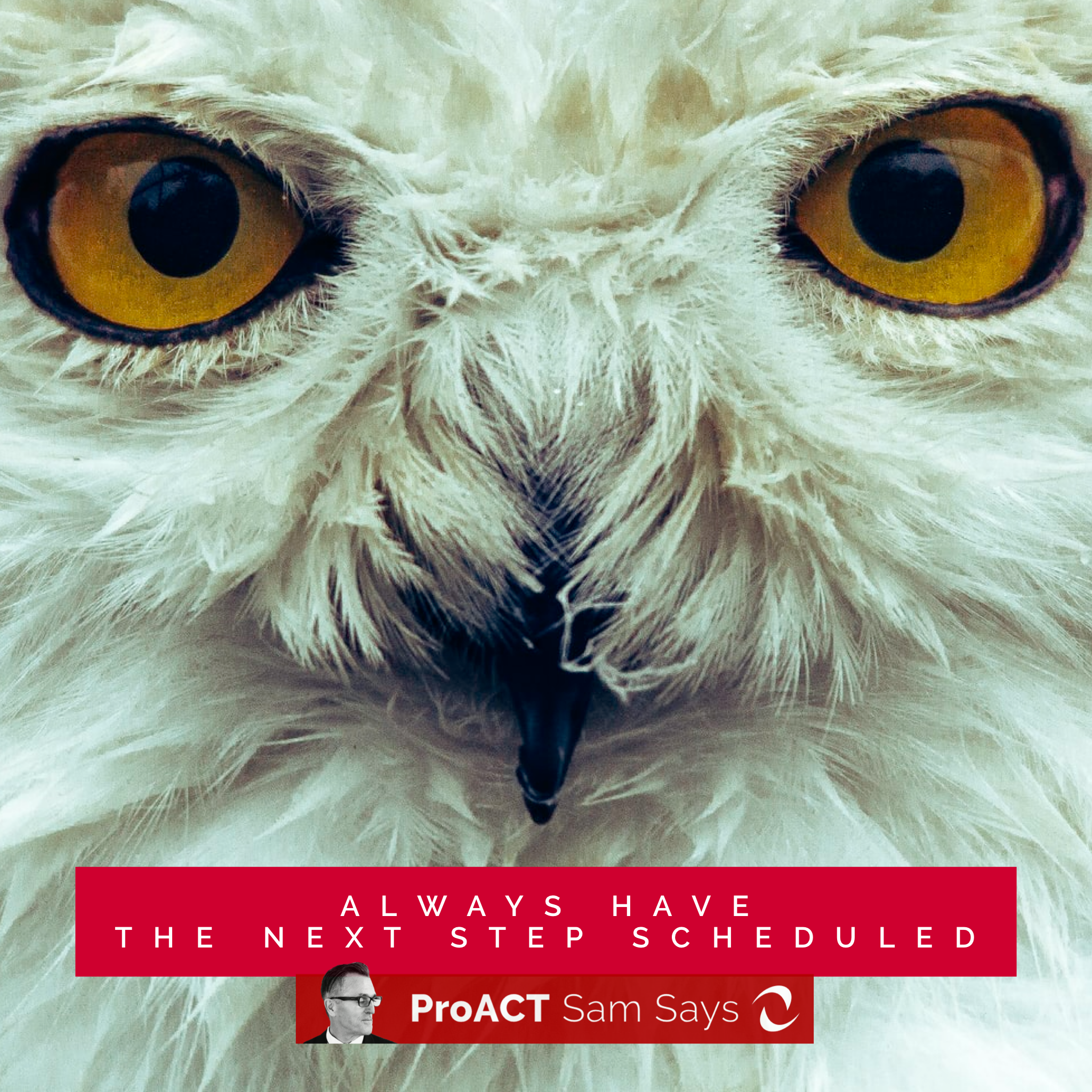 Always Have the Next Step Scheduled