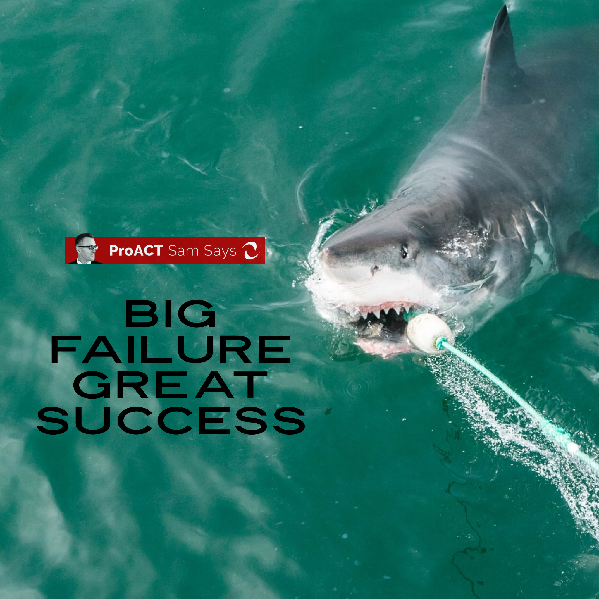 Big Failure - Great Success