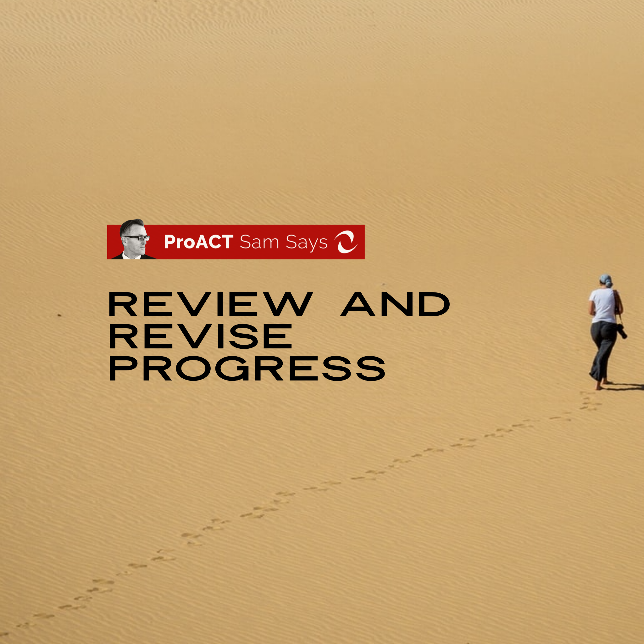 Review and Revise Progress