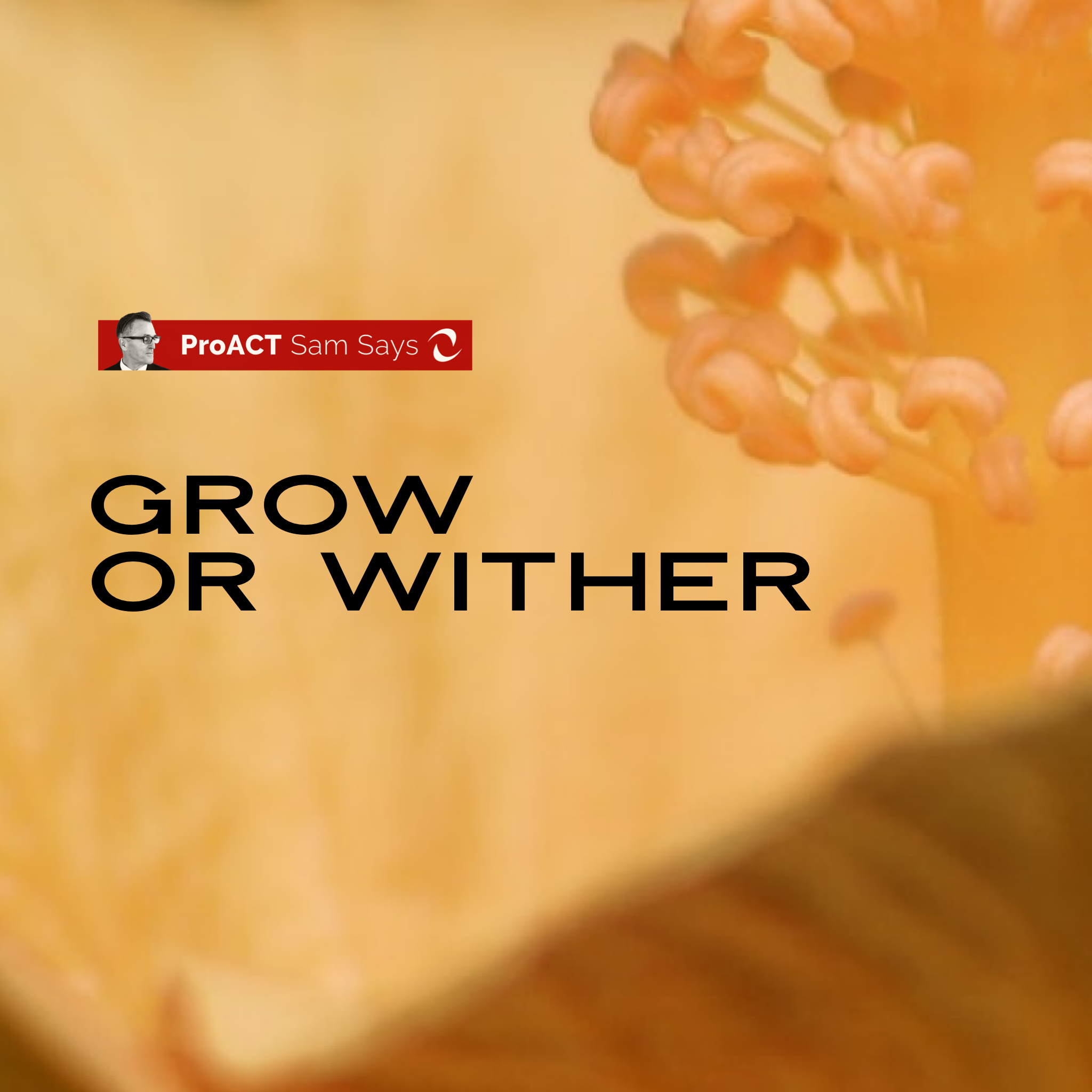 Grow or Wither