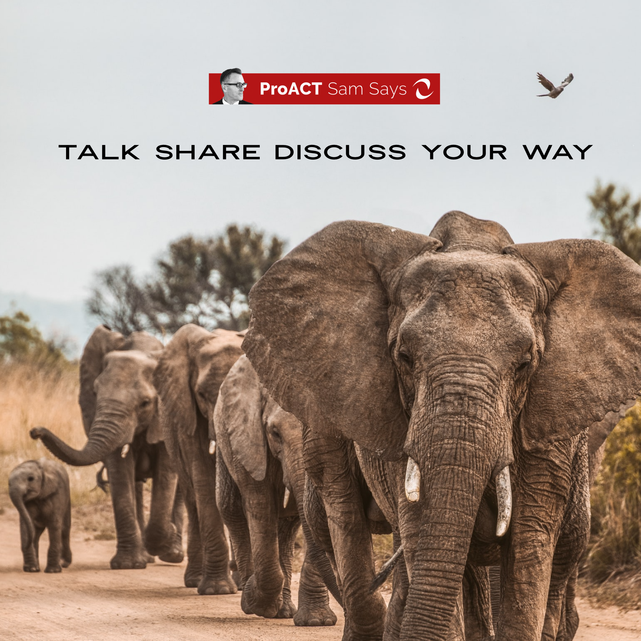 Talk Share Discuss Your Way