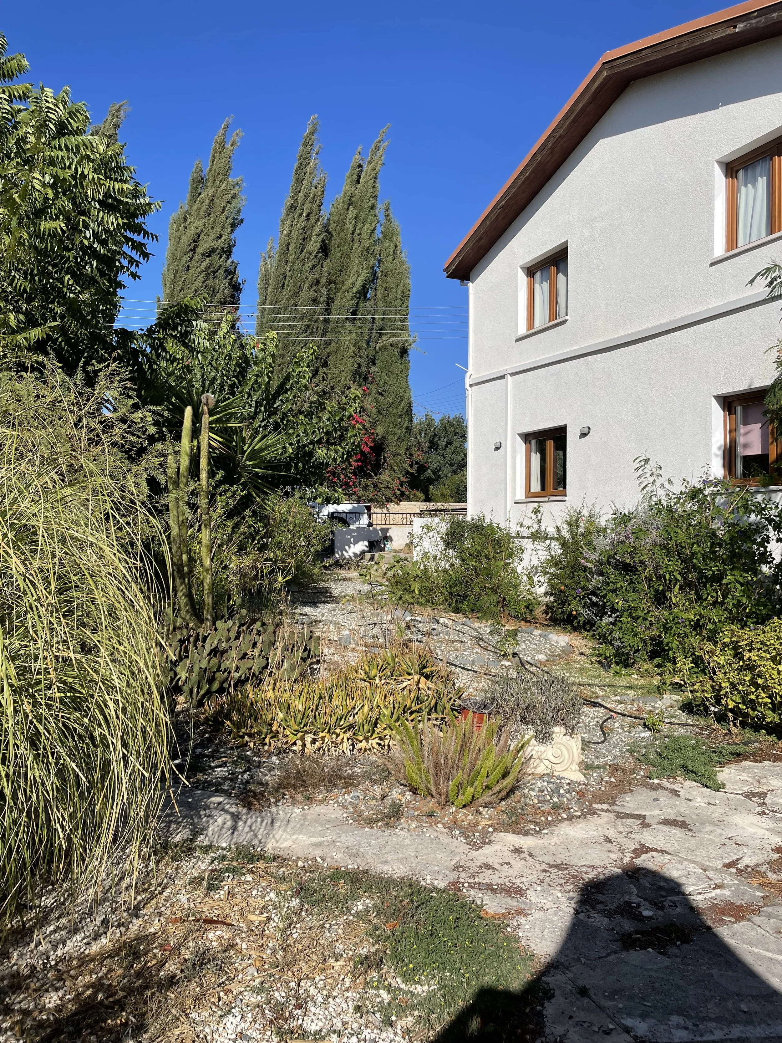 IMG_5984.jpeg