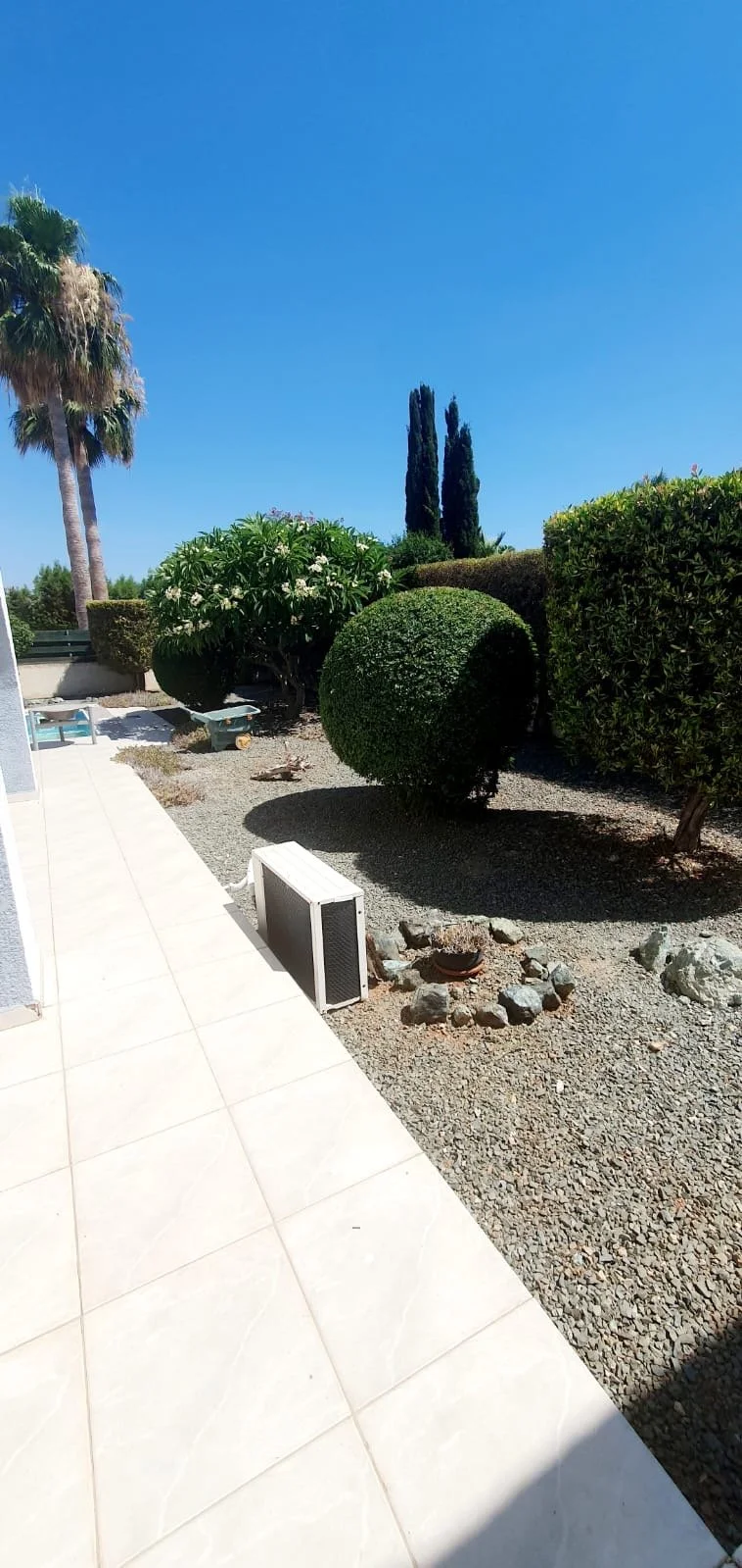 View of a backyard garden with manicured bushes, palm trees, cypress trees, a gravel area, and a bright blue sky.