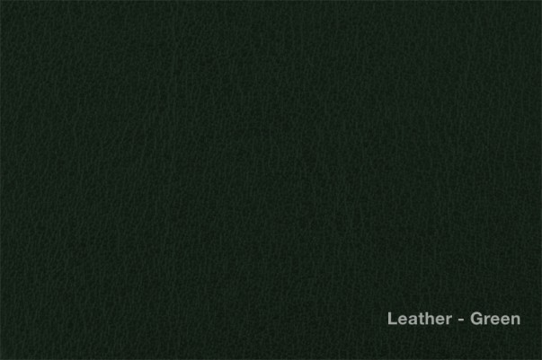 Leatherette Green.jpg