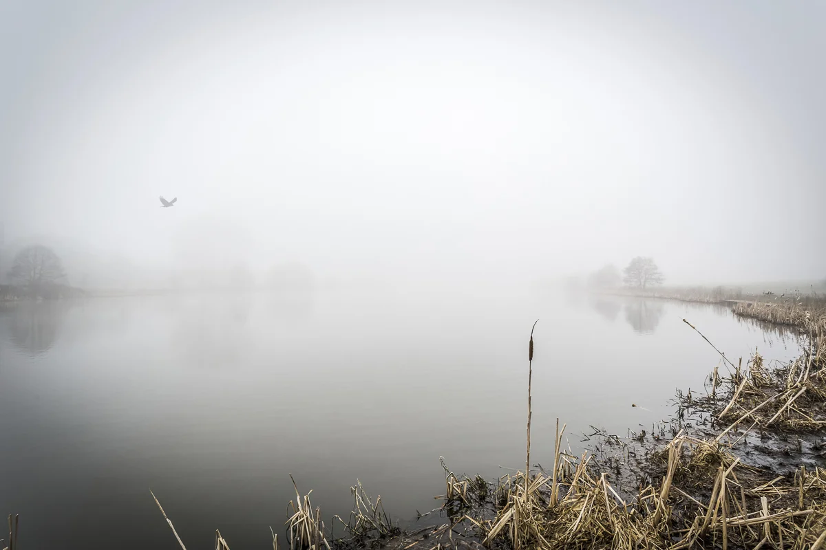 Foggy Lake Uk