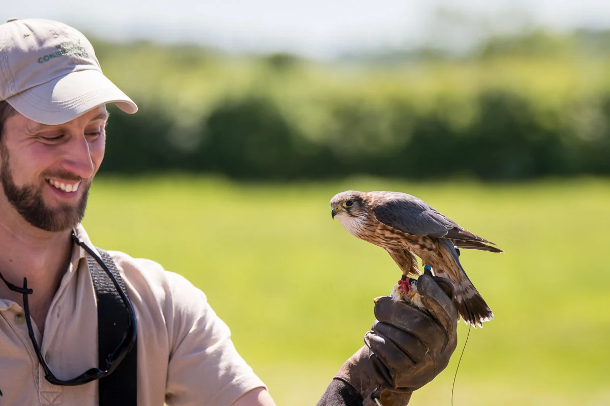 Hawk Conservancy Centre
