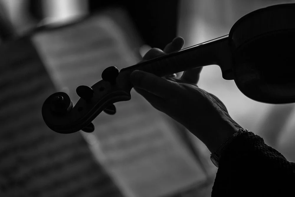 String Quartet
