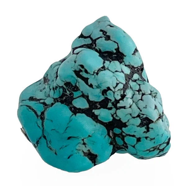 Dyed turquoise howlite clasp