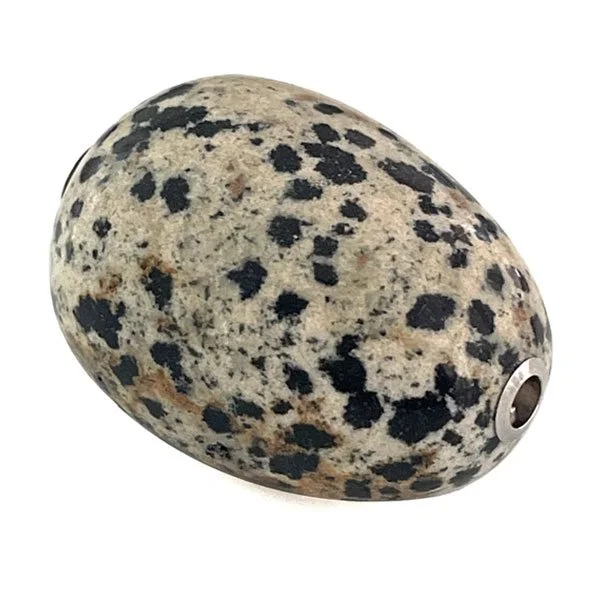Dalmation-jasper-1.3.jpg