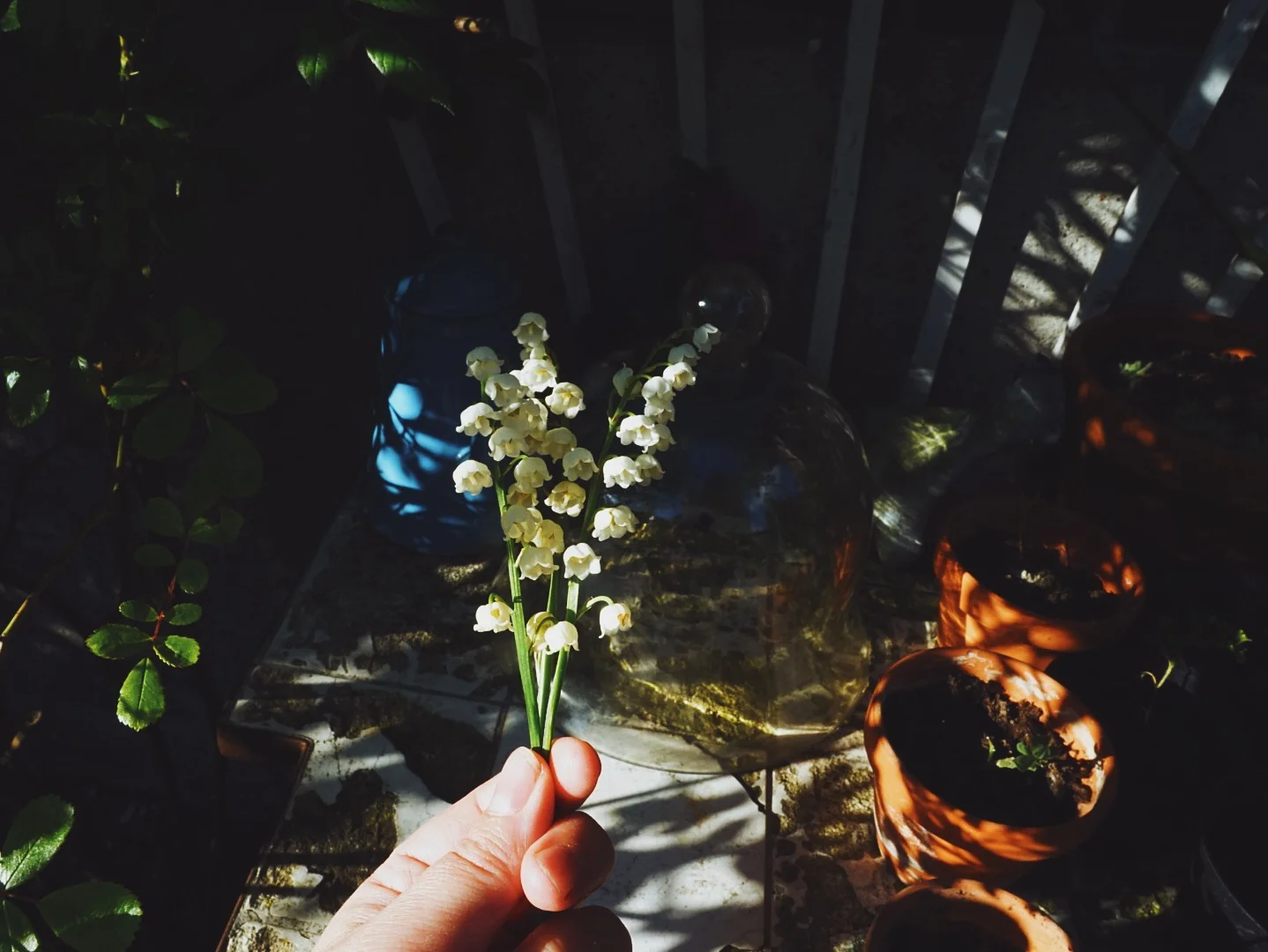 Oh the scent of lily of the valley...