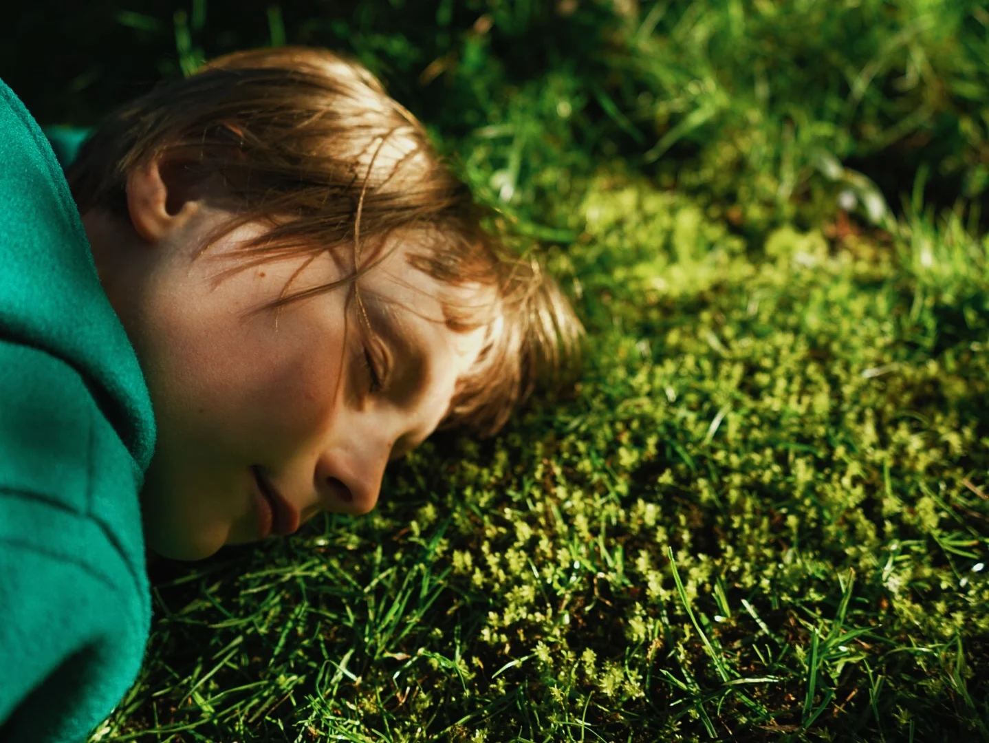 On a cushion of moss in the garden!