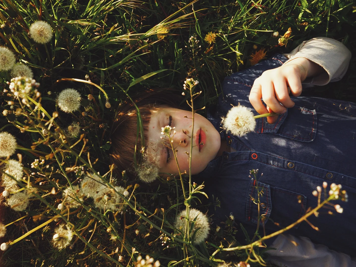 Magical evning light after a looong day of school and editorial shoot.