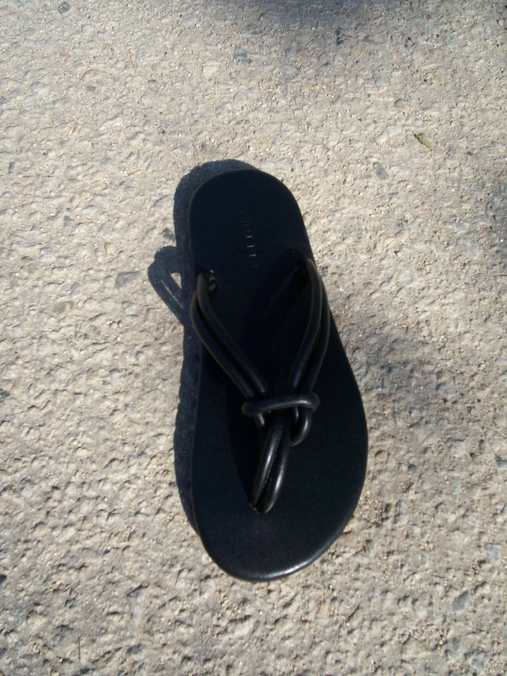 100_1251.JPG