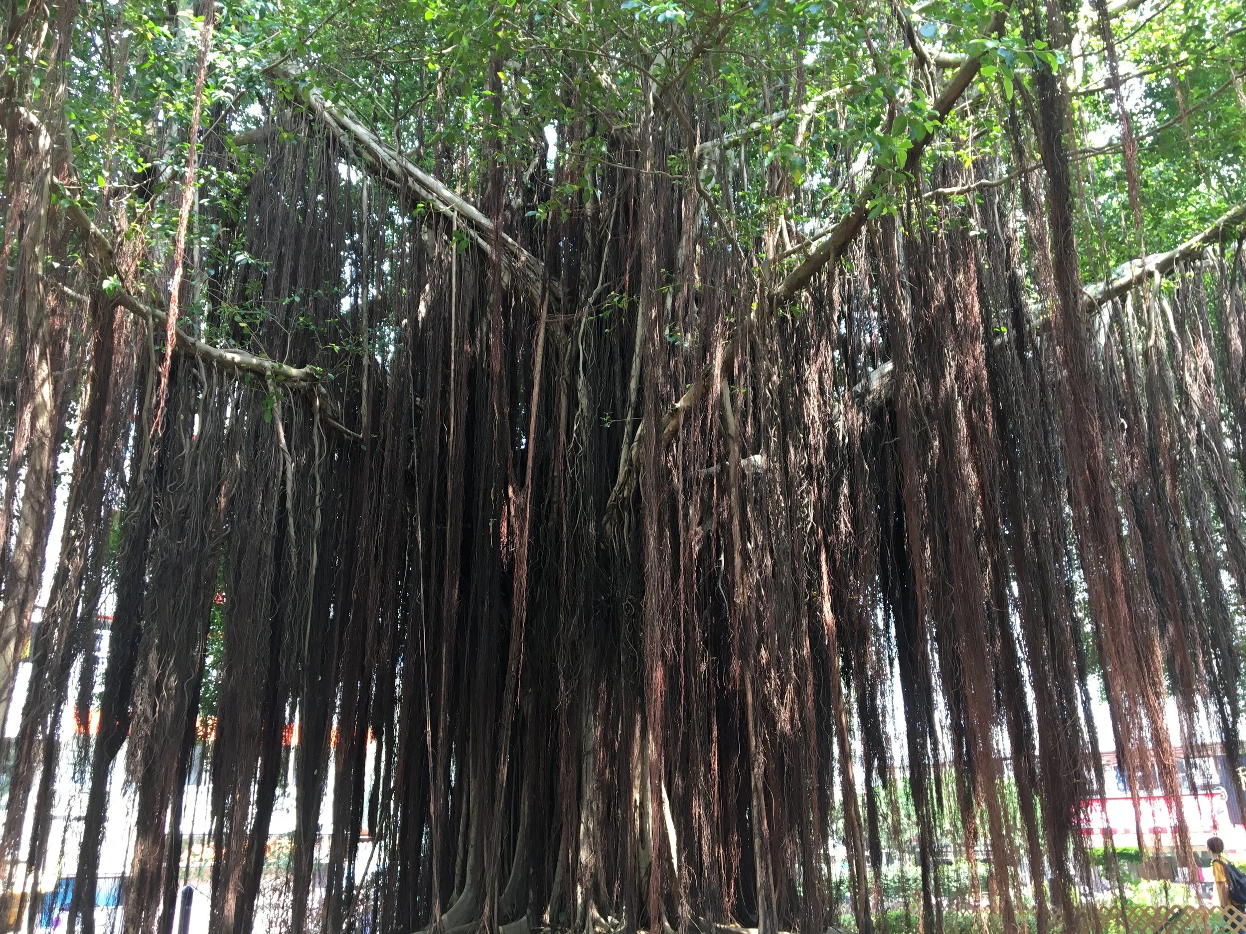 「戦争の反対語は『文明』」から考える - 人類の「未解決」の課題。