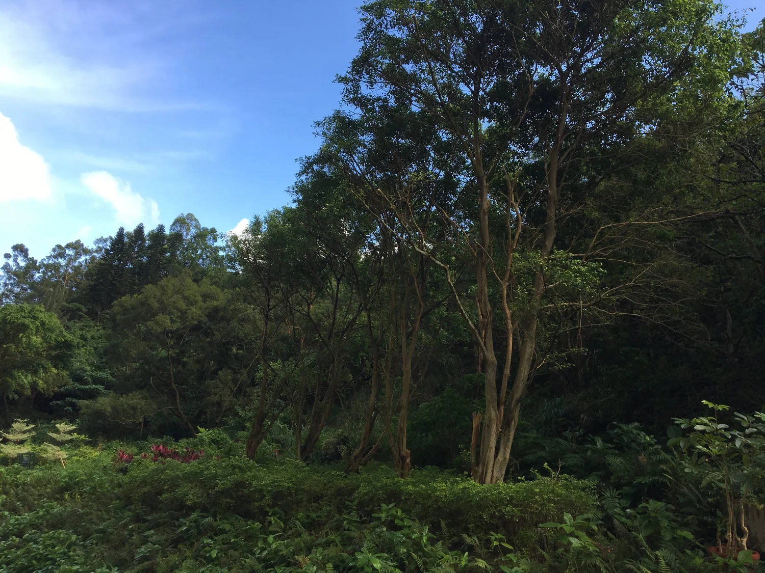 トラブルは 映画のように片付ける キングコング西野 言葉 映画 人のつながり Jun Nakajima 中島純