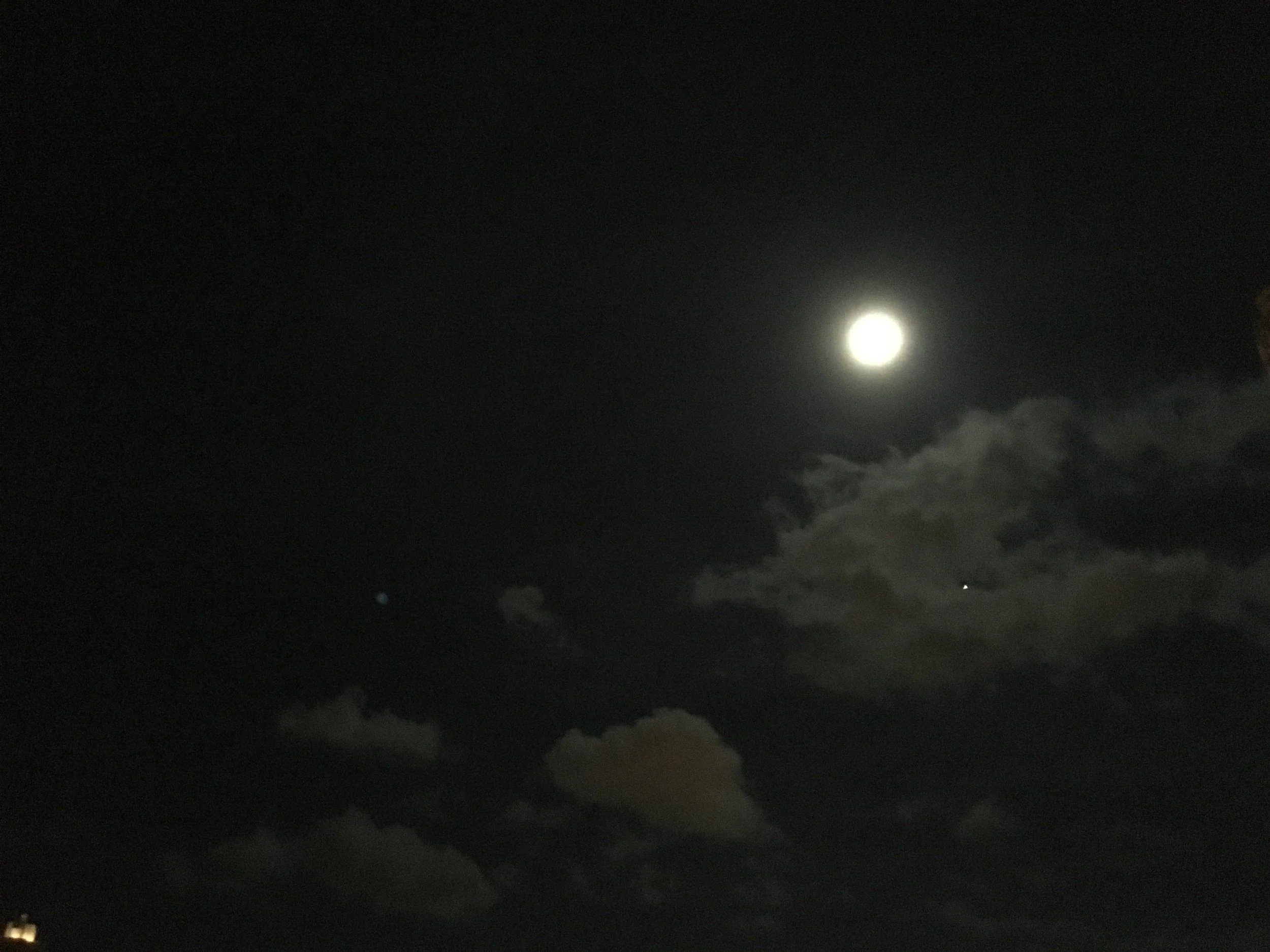 満月の夜の しずかな祭り 草たちの静かな祭りー 人間主義 の限界線へ 見田宗介 という 月明かり に照らされながら Jun Nakajima 中島純 公式サイト