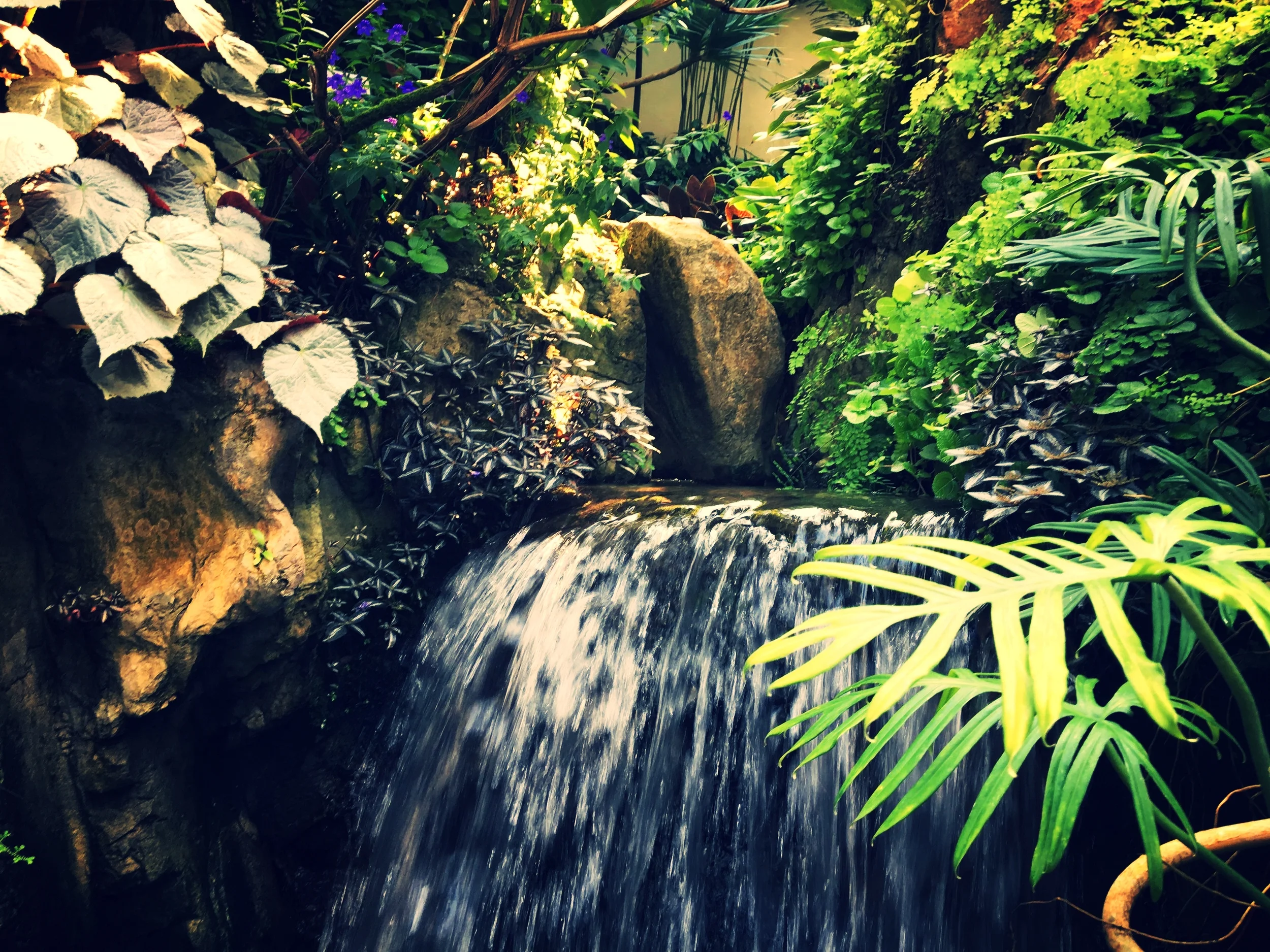 名曲「Imagine(イマジン)」(ジョン・レノン)の方法論。- 現実の<消去>という仕方で描かれる世界。