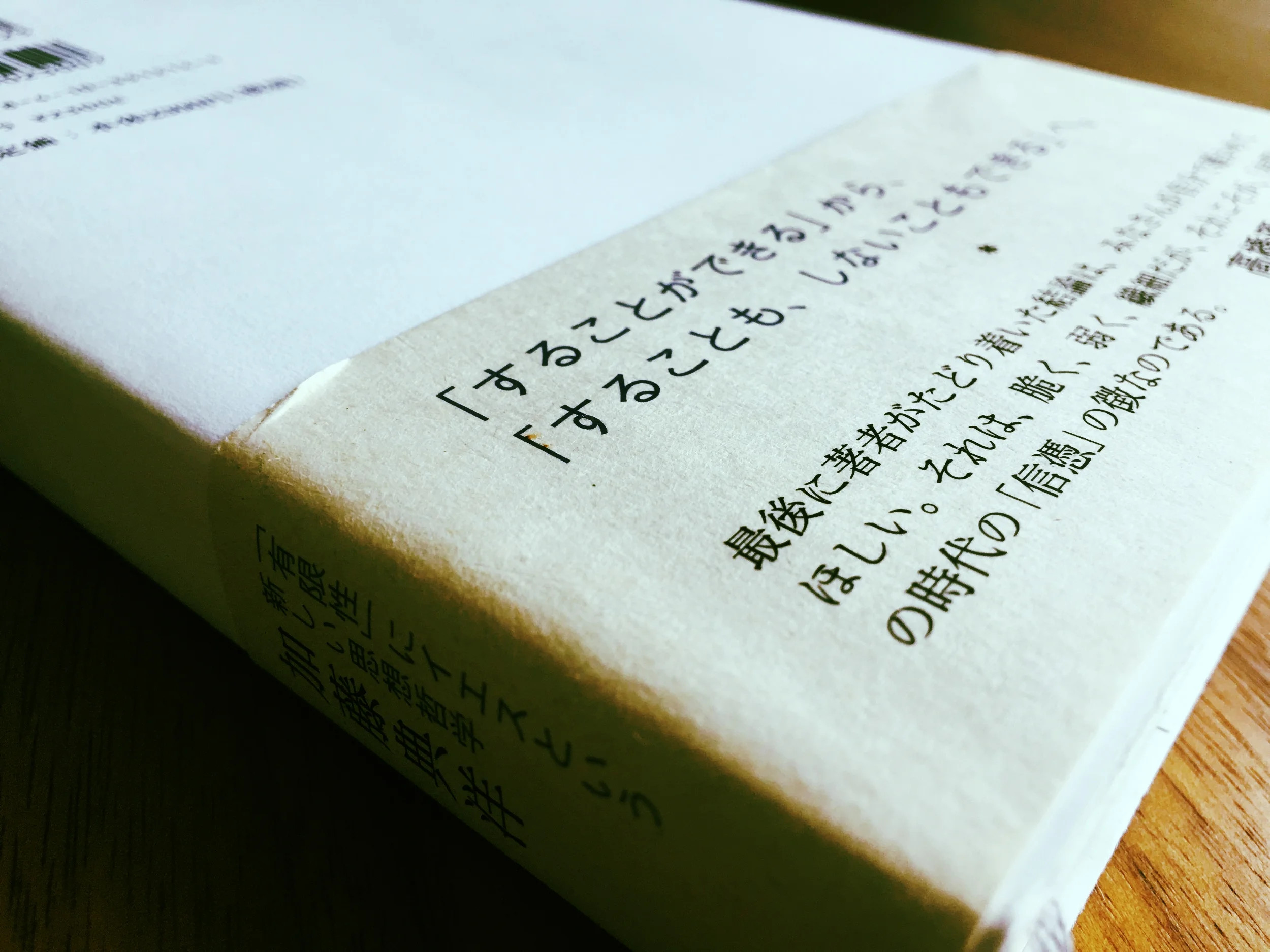 「半分」までで読めなくなってしまっていた本を読みすすめて。- 加藤典洋『人類が永遠に続くのではないとしたら』。