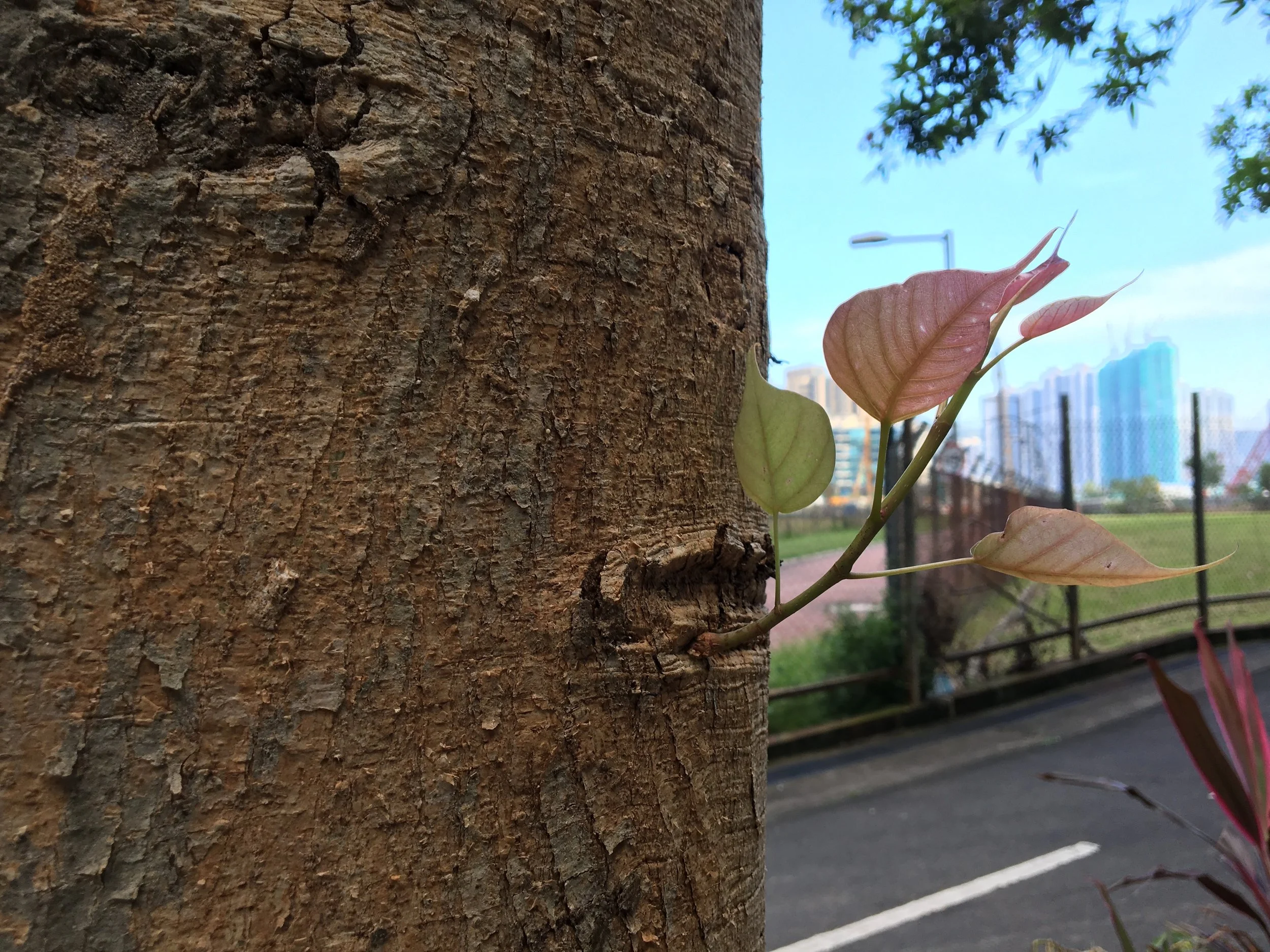 「天は自ら助くるものを助く」の変奏曲を奏でる。- 香港のホテルで考える糸井重里。