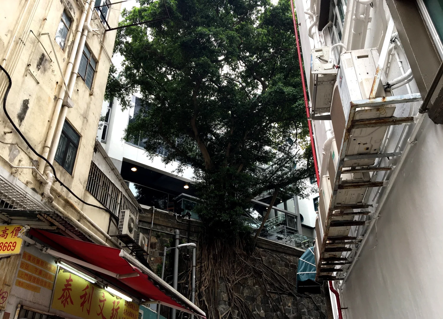 人生の前半と後半 中年 Midlife の危機 機会 最近よく考えていることの メモ Jun Nakajima 中島純