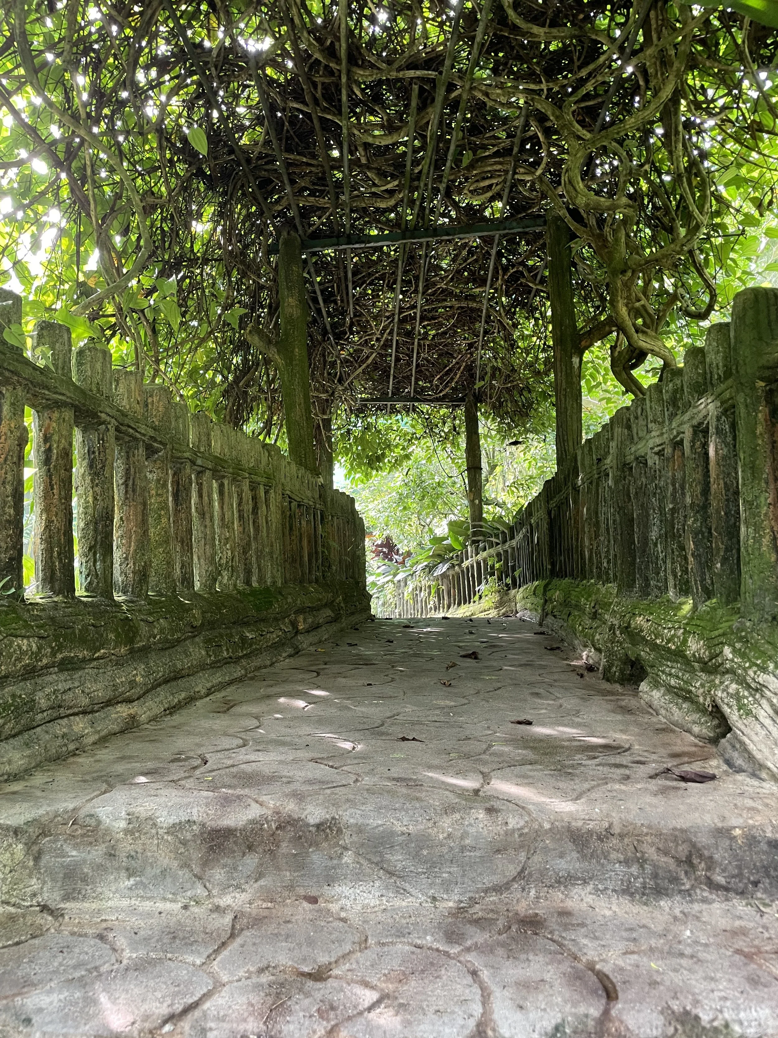 坂本竜馬とマインドフルネスー「Walking meditation（歩行瞑想）」