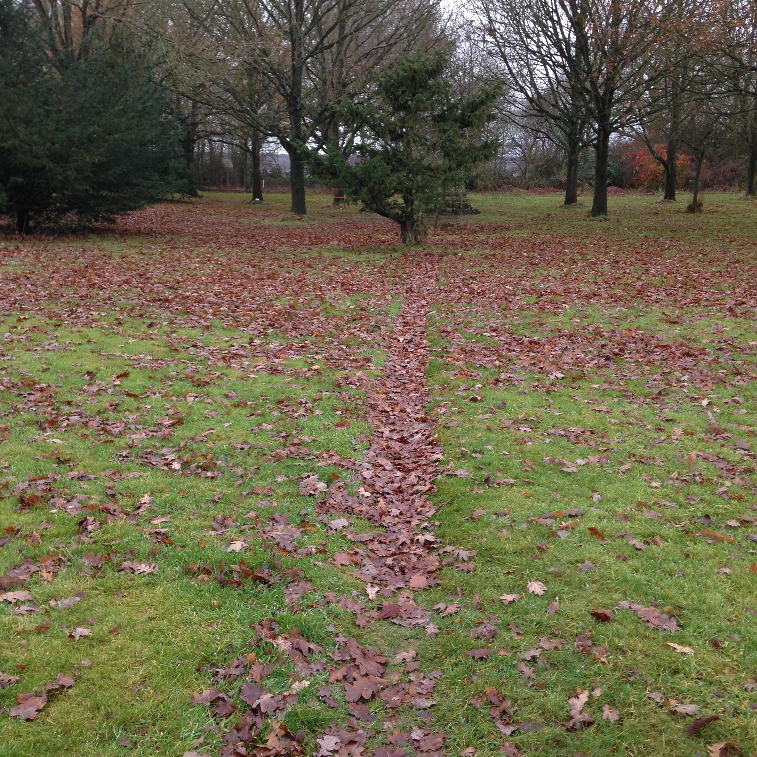 autumn in the buddha grove